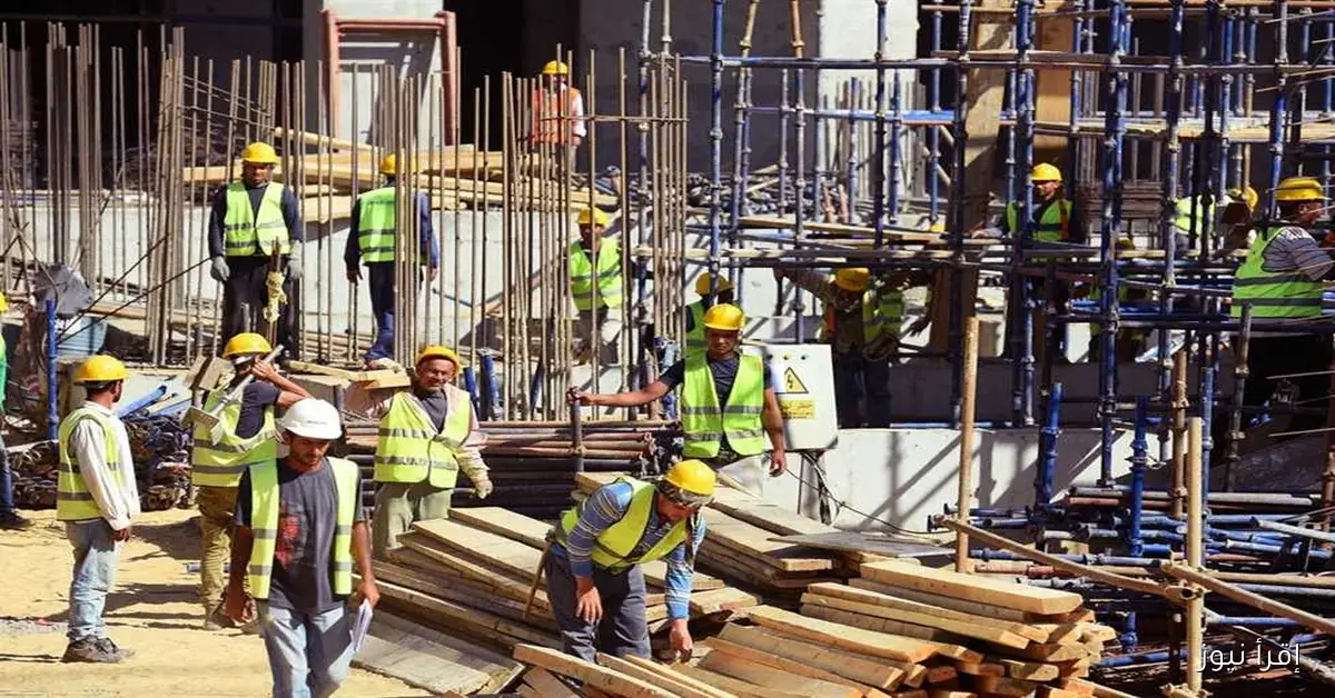 جمعية الخبراء تكشف: 99% من العمالة الأجنبية في مصر غير شرعية ولا تساهم في دفع الضرائب