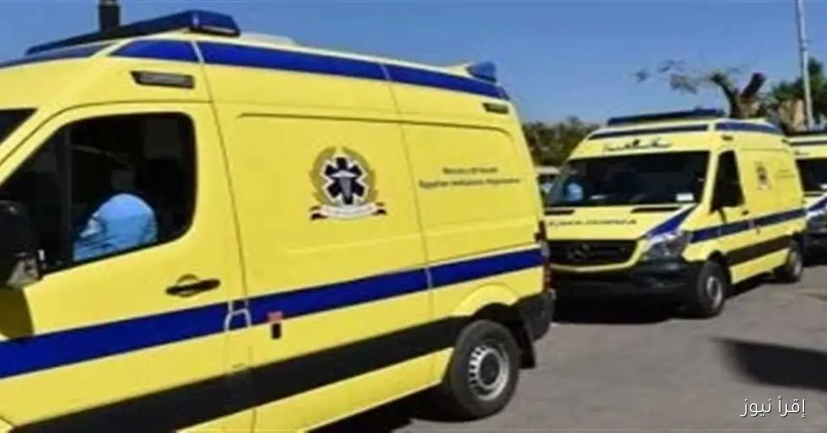 حادث مروع على طريق رأس غارب – الغردقة يسفر عن وفاة شخصين وإصابة آخر