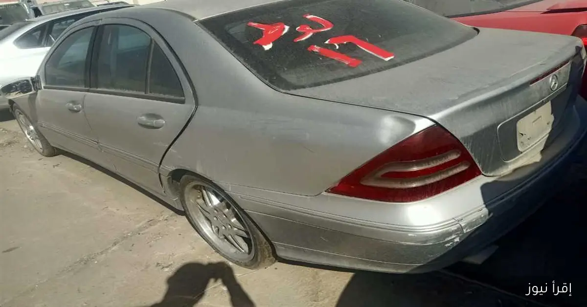 حصيلة بيع مزاد سيارات وبضائع جمارك بورسعيد والإسكندرية تصل إلى 46.1 مليون جنيه في آخر جلسة