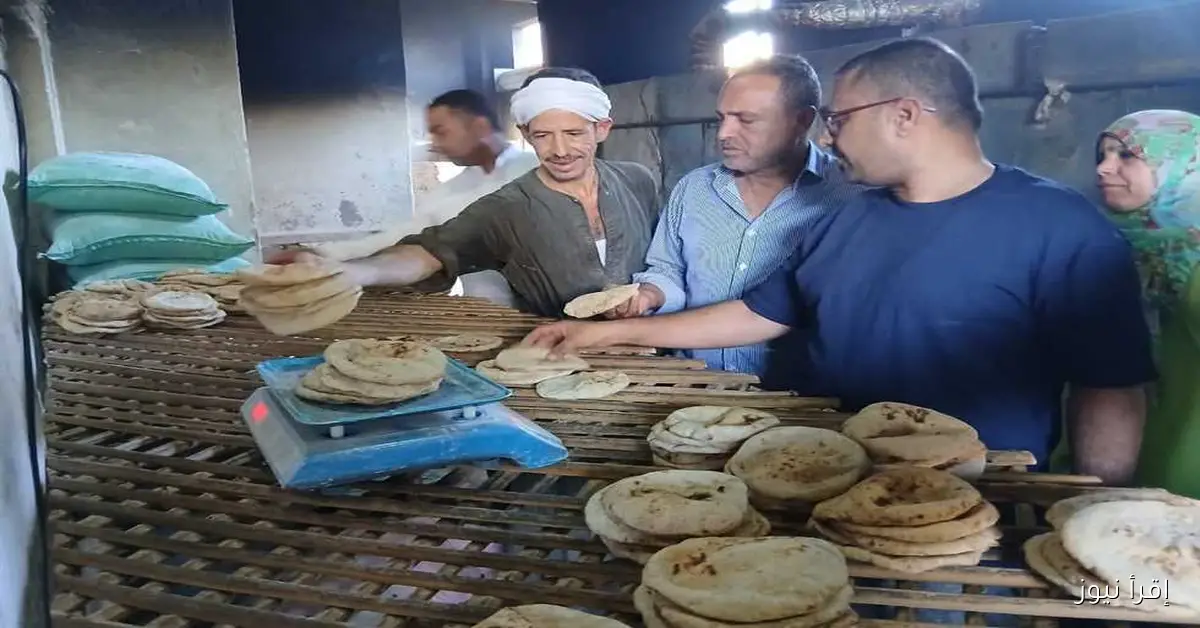 حملة تفتيش مشتركة على مخابز الوادي الجديد لضمان جودة الخبز المنتج