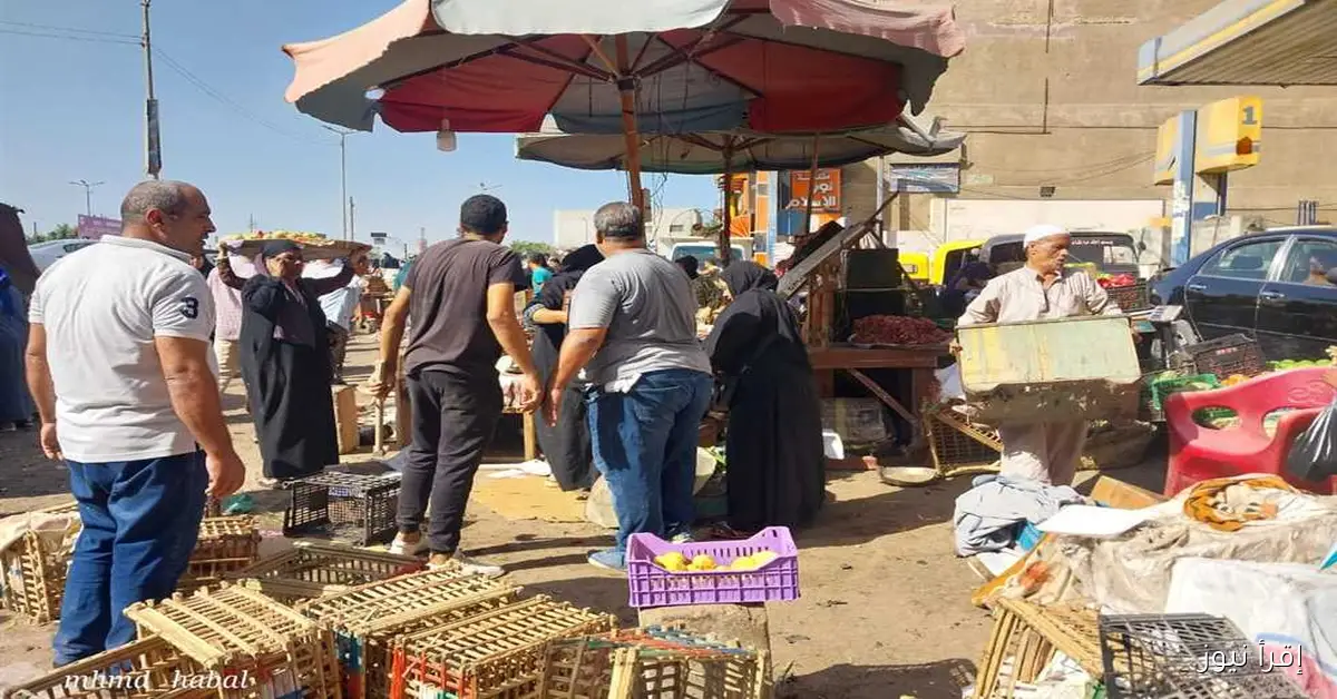 حملة شاملة لإزالة الأكشاك المخالفة والإشغالات في كفر الزيات بالغربية
