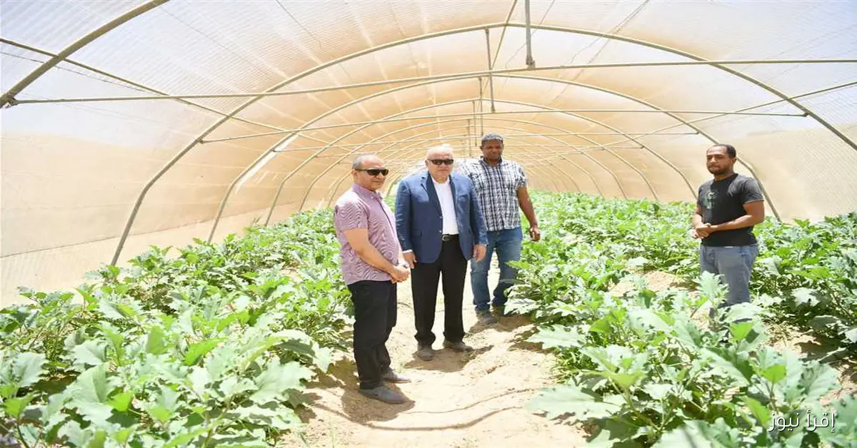 خبير زراعي يؤكد: مشروعات التوسع الأفقي في مصر تعزز التوازن الغذائي والبيئي