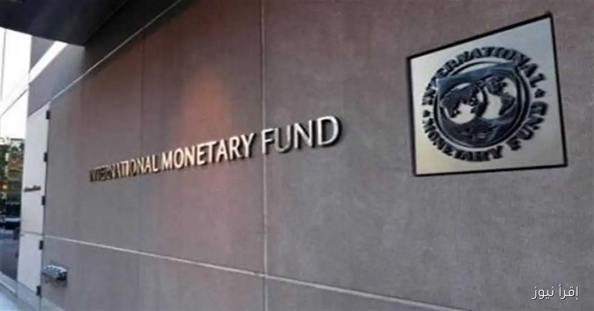 صندوق النقد الدولي يؤكد دعمه لجهود الحكومة المصرية في تعديل أسعار الوقود وتقليل الدعم غير الموجه
