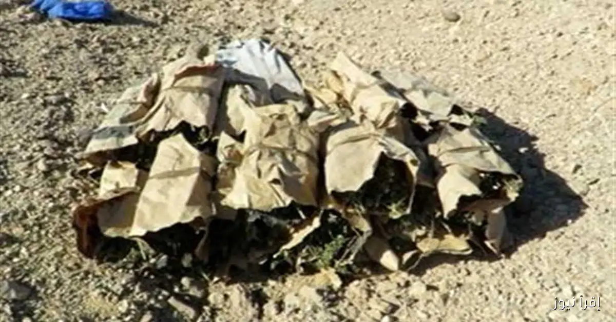 ضبط شخص متهم بحيازة الحشيش والشابو في الأقصر مع العثور على سلاح روسي