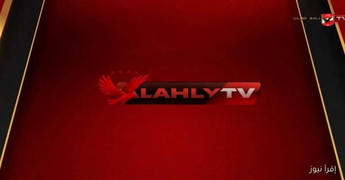 قناة الأهلي ترد بقوة على ميدو بسبب تصريحاته عن شيكابالا (فيديو)