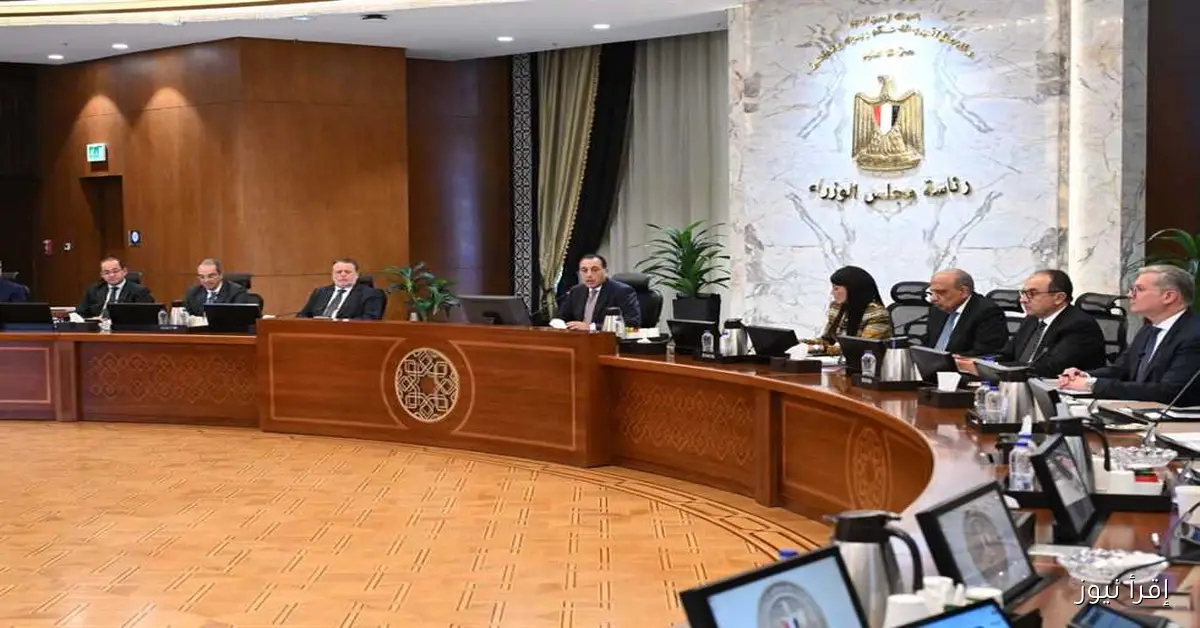 مدبولي يدعو لتسريع العمل لإنجاز مشروعات برنامج الطروحات الحكومية