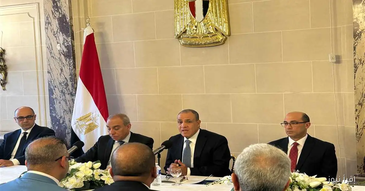 وزير الخارجية يشدد على ضرورة مشاركة المصريين في الخارج بالاستحقاقات الانتخابية