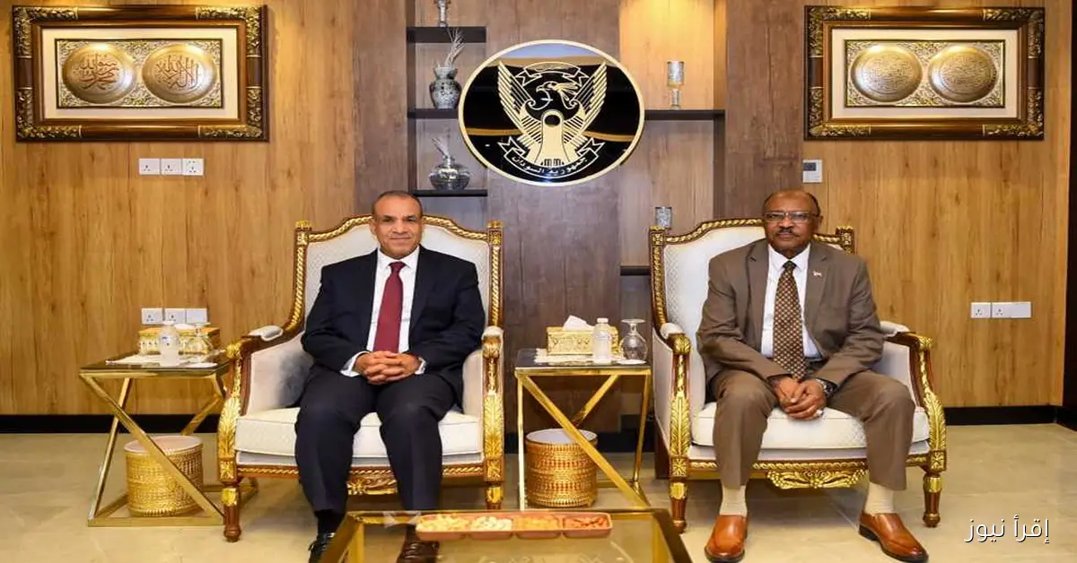 وزير الخارجية يعبر عن دعم مصر القوي لاستقرار وأمن وسيادة السودان